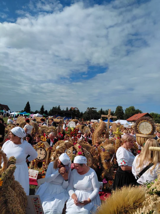 Dożynki Prezydenckie - Tryńcza 2026